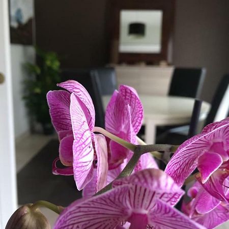 Nano House Apartment Begles Ngoại thất bức ảnh